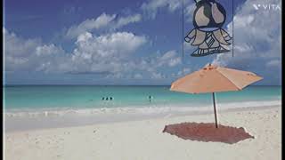 The Offshore Oddies | Official Trailer