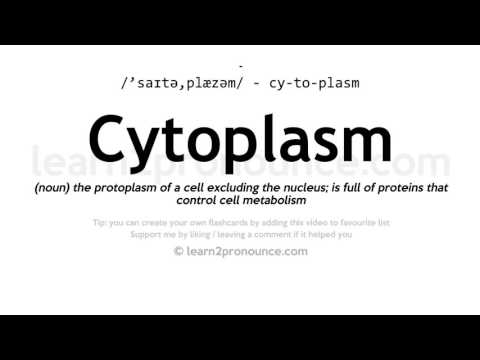 Pronunciation of Cytoplasm | Definition of Cytoplasm