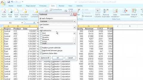 EXCEL.2007.ADVANCED ADVANCED SUBTOTALS
