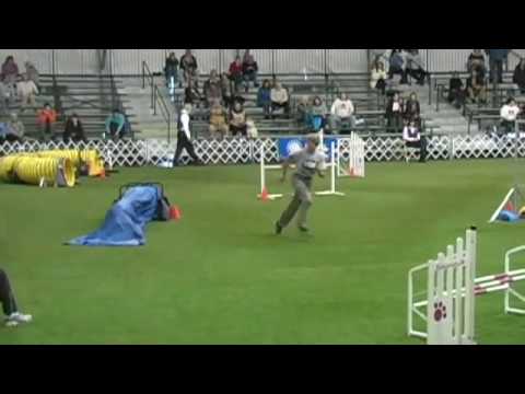 2009 AKC Agility Invitational, Round 2 STD - T'AI