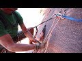 How to Set Up a Tag Line for Rappeling