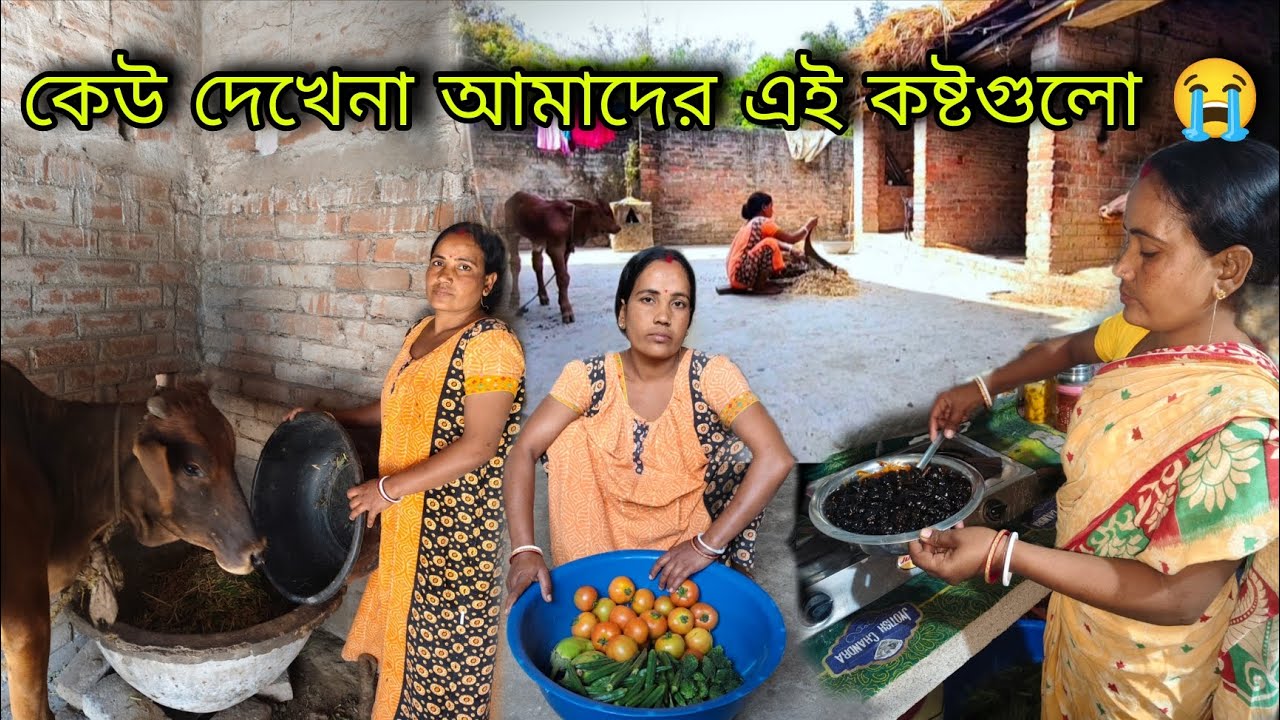 🌾সারাদিন বাড়ির কাজ করে গরু-বাছুর সামলানো এটাই হলো আমার পৃথিবী🌎#viral #video 