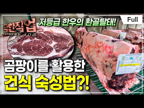 [Full] 극한직업 - 당신이 몰랐던 곰팡이 이야기
