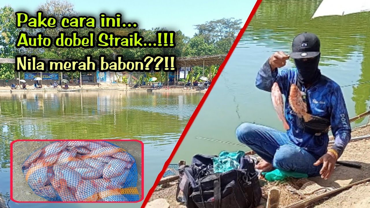 TESTER ESEN 02 UNTUK TARGET IKAN NILA DI Kp DOHO RAYA!!!