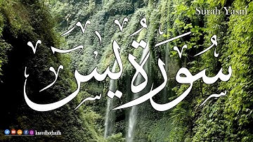 سورة يس كاملة 💝 بأروع وأجمل صوت | القارئ حذيفة الكعيد  Surah Yasin (Yaseen) Full with TEXT