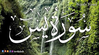 سورة يس كاملة 💝 بأروع وأجمل صوت | القارئ حذيفة الكعيد  Surah Yasin (Yaseen) Full with TEXT