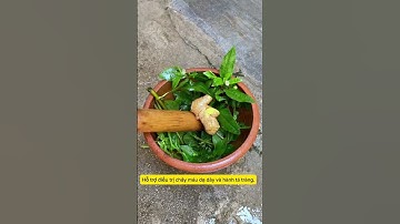 Cây cỏ mực (cây nhọ nồi) có tác dụng trị sốt xuất huyết, nhà mình lưu lại bài thuốc này nha