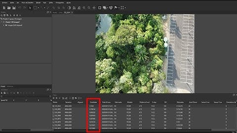 Série Metashape de ensino - AULA 3 - Verificando a qualidade das imagens de drone no Metashape