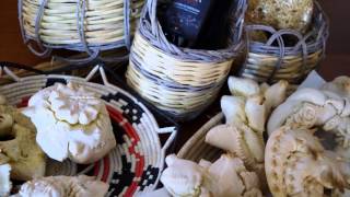Video thumbnail of "HISTORY & FOOD & WINE TOUR"