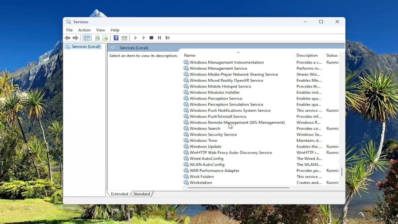 TP Link WN821N WiFi Adapter Not Working Or Detecting Networks Solution tp-link-wn821n-wifi-adapter-not-working-or-detecting-networks-solution