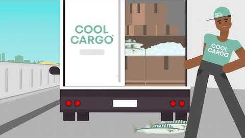 Fleet Management for Commercial Operations – Netstar