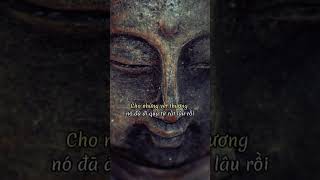 Cuộc này này quá ngắn #phatphap #loiphatday #tamtrang