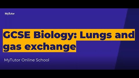 Lungs and gas exchange - Live Group Tutorial - GCSE Biology