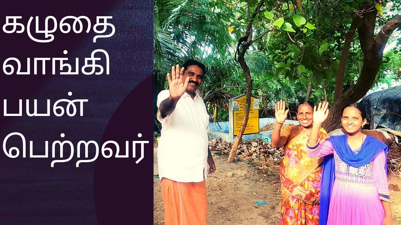 இனிமேல் பணக்காரங்க தான் || Donkey Business 