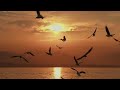 Memories Never Die Song Lyric ArmandoPansacala 