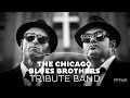 The chicago blues brothers  book them direct through entertainers worldwide