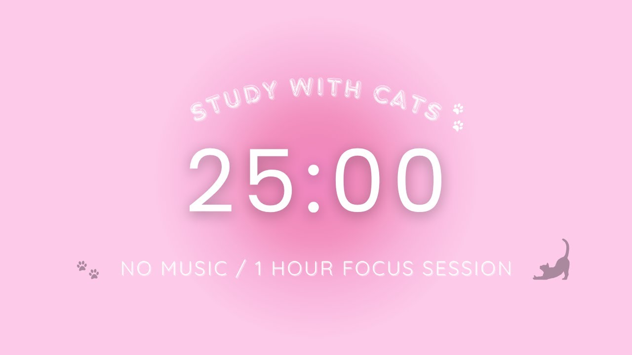 1 hour Pomodoro Timer 25/5 🌷Pink Aura Focus Session with Cat 🐈⬛ Study ...