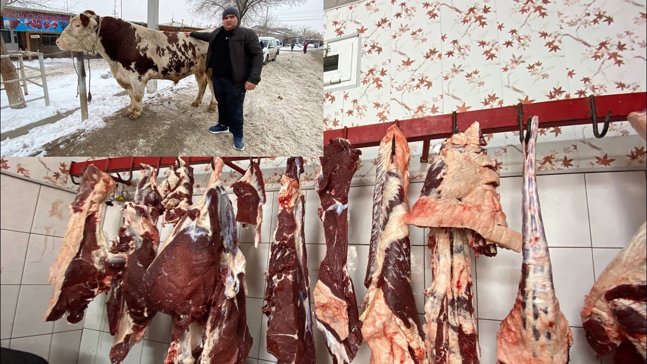 КЕЧАГИ 1 ТОННАЛИК ГИГАНТ БУКА КАНЧА ГУШТ БЕРДИ БОЛТА КАССОБ ГУШТ ДУКОНИ 2 ТА ИНСОН ГОЛИБ БУЛДИ 🥳🥳🥳