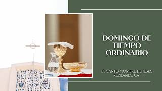 Misa de Domingo - 7/19/2026 - XVI Domingo Ordinario