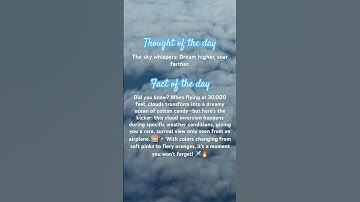 🌥️ Ever wondered what it’s like to fly above the clouds? #cloudviews #skyhigh #flightgoals #shorts