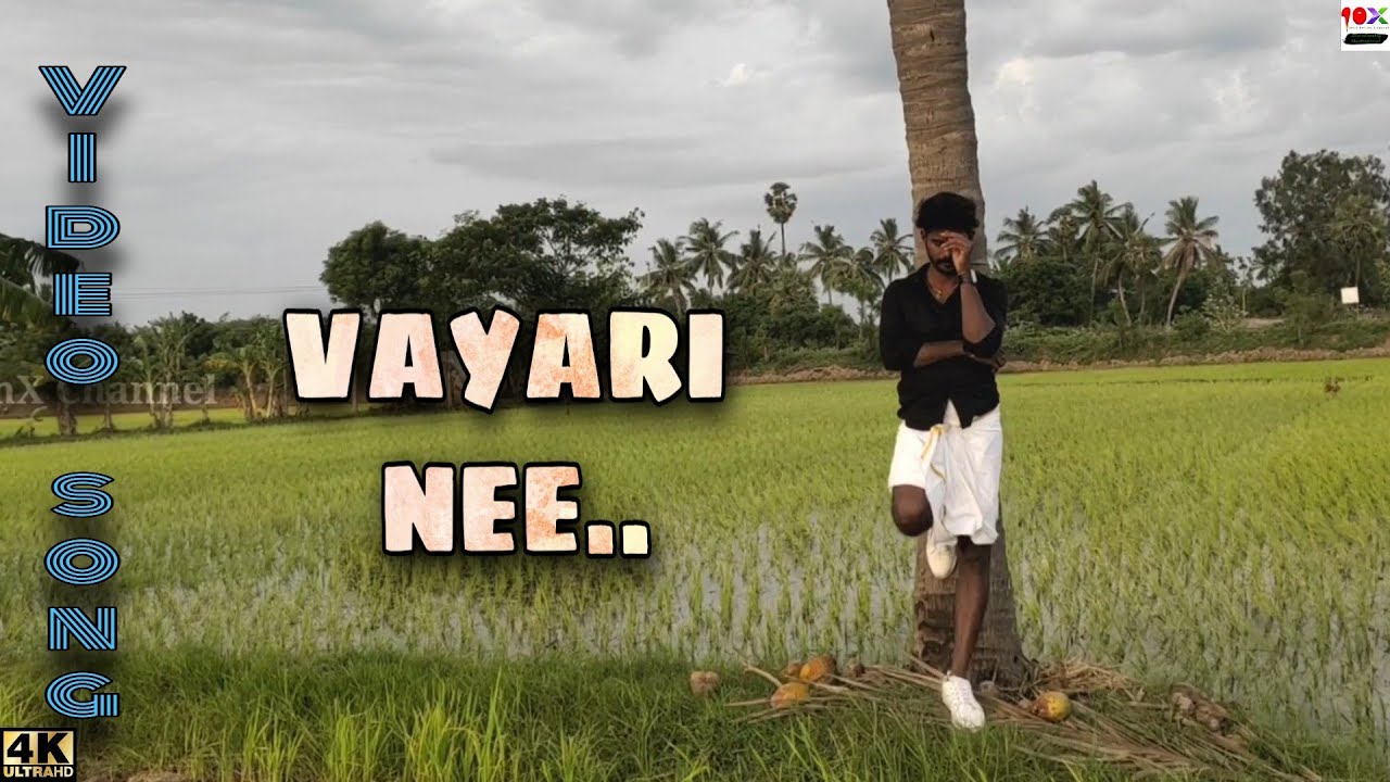 Chinni Krishnudu Video Songs || Vayari Nee Cover Album Video Song| TenX Channel | 10X Review Channel