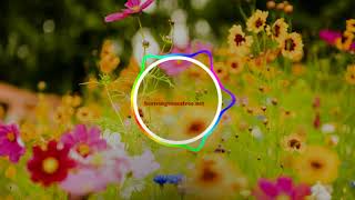 Download Koi Vi Nahi ringtone | Shirley Setia, Gurnazar | Best Ringtones download Free for mobile