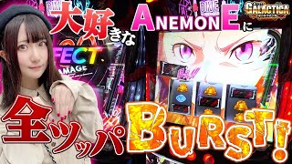 アネモネ全ツッパの結果は？】工藤らぎの覚悟を見よ！「ギャラクティカ