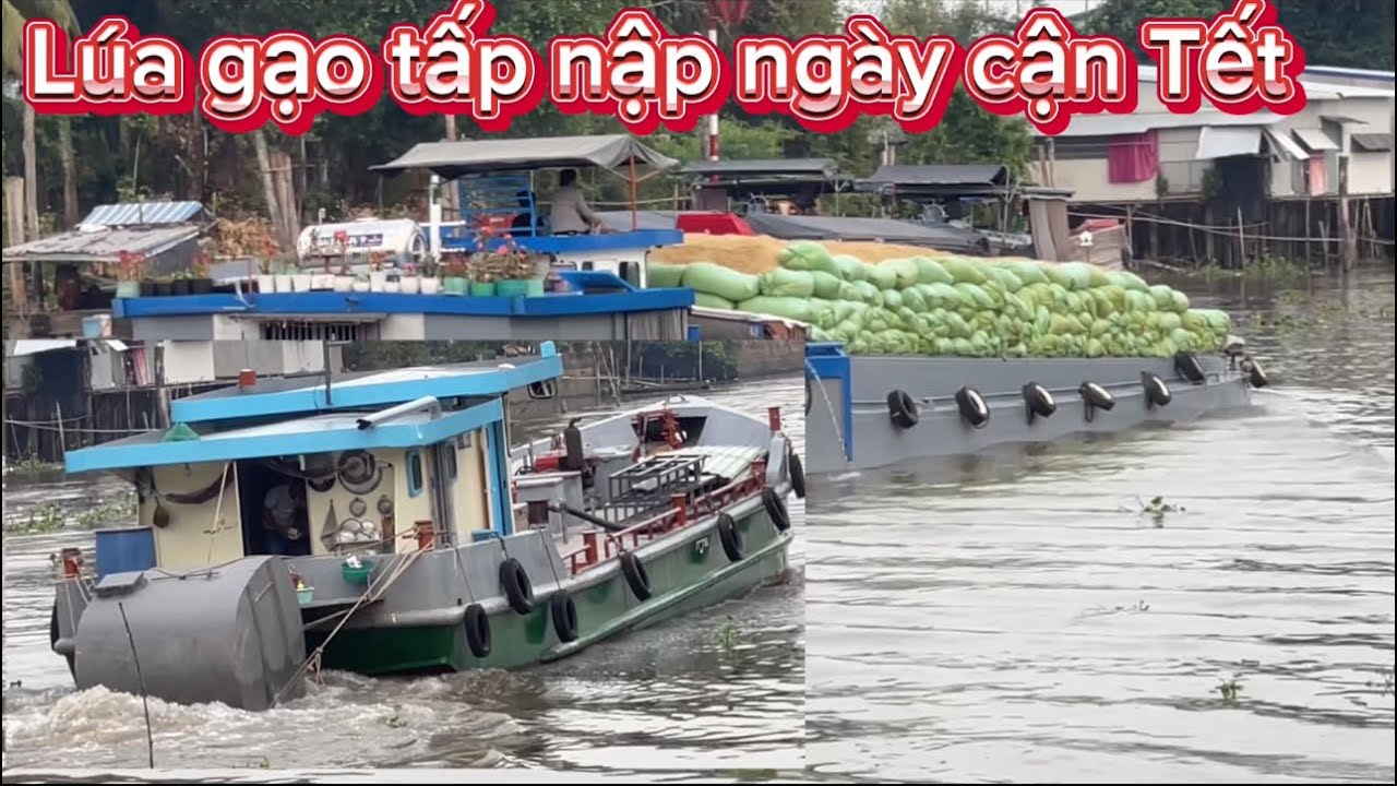 Ghe lúa gạo tấp nập ngày cận Tết - YouTube