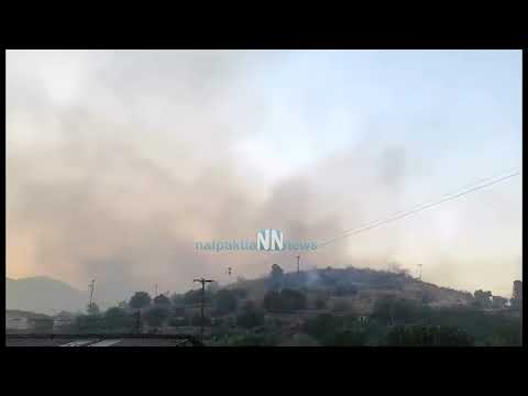 Nafpaktia news:Τελευταίες εναέριες ρίψεις στην πυρκαγιά της Ιτέας - Τεράστιο το μέτωπο