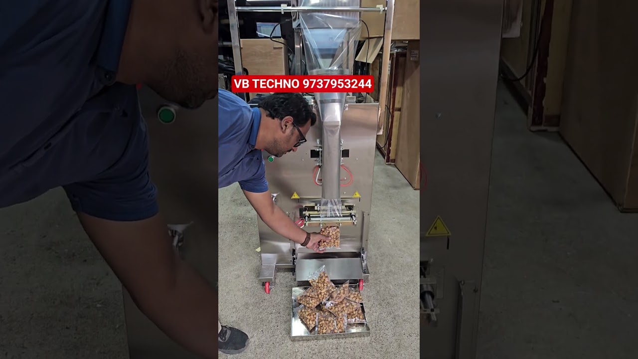 Fzl1000 Pouch Packing Machine