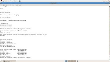 Oracle 11g Data Guard Configuration Snapshot DB  - part - 10