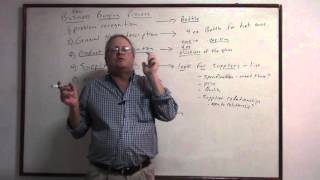 MVI 0068 Business Buying Process