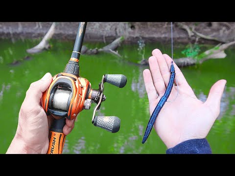 Video: Fishing Tips