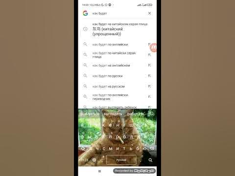как будет на китайском серая птица - YouTube