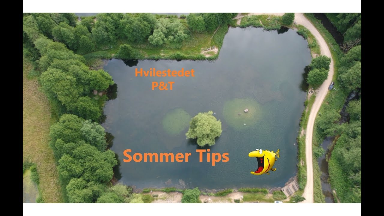 Sommer tips i Put & Take søen, Hvilestedet
