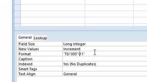 How to control auto number in ms access in hindi and english