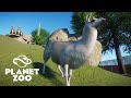 #04 - AS LHAMAS CHEGARAM NO ZOO - Planet Zoo