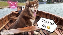Mật Đi Thuyền Ra Giữa Hồ Và Gặp Biến Cực Căng - Đà Lạt Trip Part 1