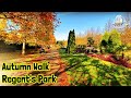Regent's Park London Walk | A Splendid Autumn Stroll in a Royal Park