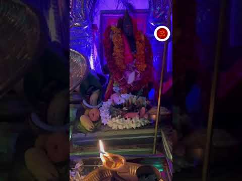 Lord Murugan Puja @ SDLMD #murugantemple #murugandevotes #murugan