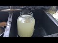 How To Make And Flavor Water Kefir