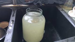 How To Make And Flavor Water Kefir
