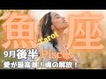 【魚座 9月後半】可能性は場外ホームラン級🎉最高の愛で満たされて❤️羽ばたきます✨タロット占い