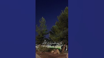 ياسر الدوسري - القرآن الكريم #القرآن_الكريم #اكسبلور #المصحف #راحة_نفسية