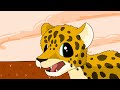 6 exotropic leopard