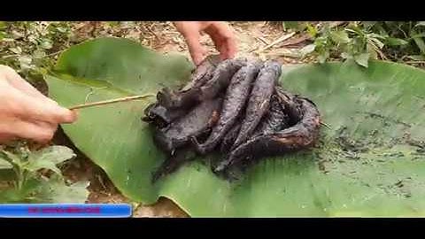 cá lóc nướng rơm đúng chất | hương vị - gió đồng miền quê TT03