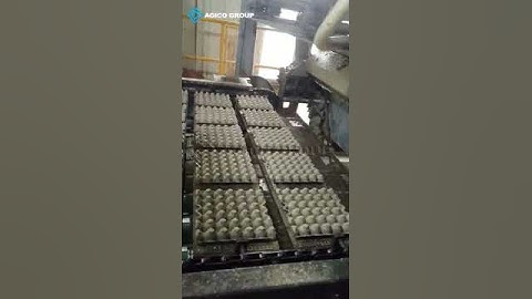 AGICO 5*8  5000pcs/hr Egg Tray Machine with Metal Drying line
