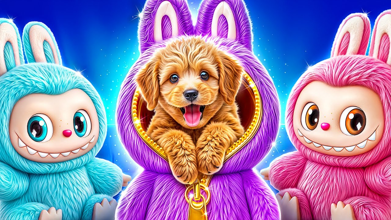 عملنا بيت لا بوبو فى البيت ! لا بوبو فى الواقع !