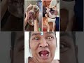 who is your best pinned your comment #dog #cute #shorts #memes #anime #animals
