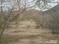 صوت ساحلي ًالشاعر علي مشحفوف الحسيني العاهل
